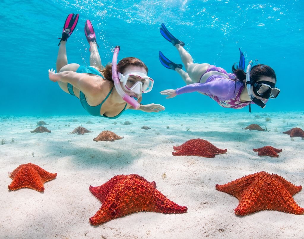 Starfish Snorkel Tour